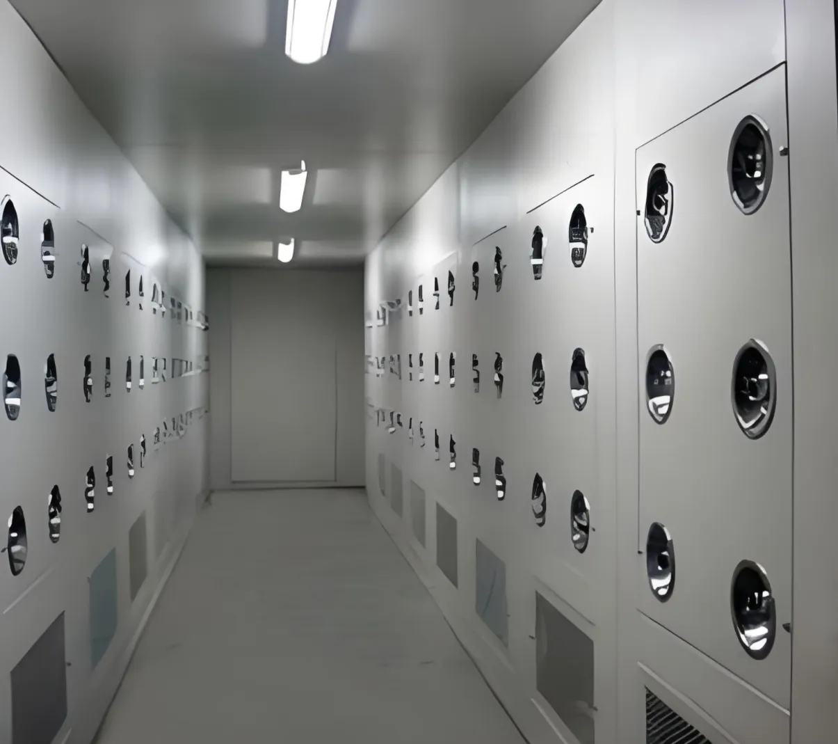 Purifier Lsuix Voice Announcement Air Shower1