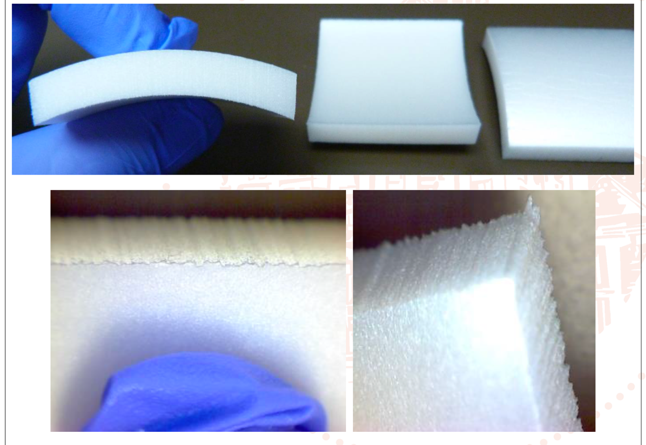 A look at fungal contamination testing of cleanroom insulation A look at fungal contamination testing of cleanroom insulation