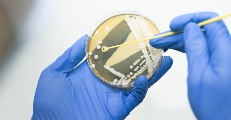 Sterility Testing Sterility Testing