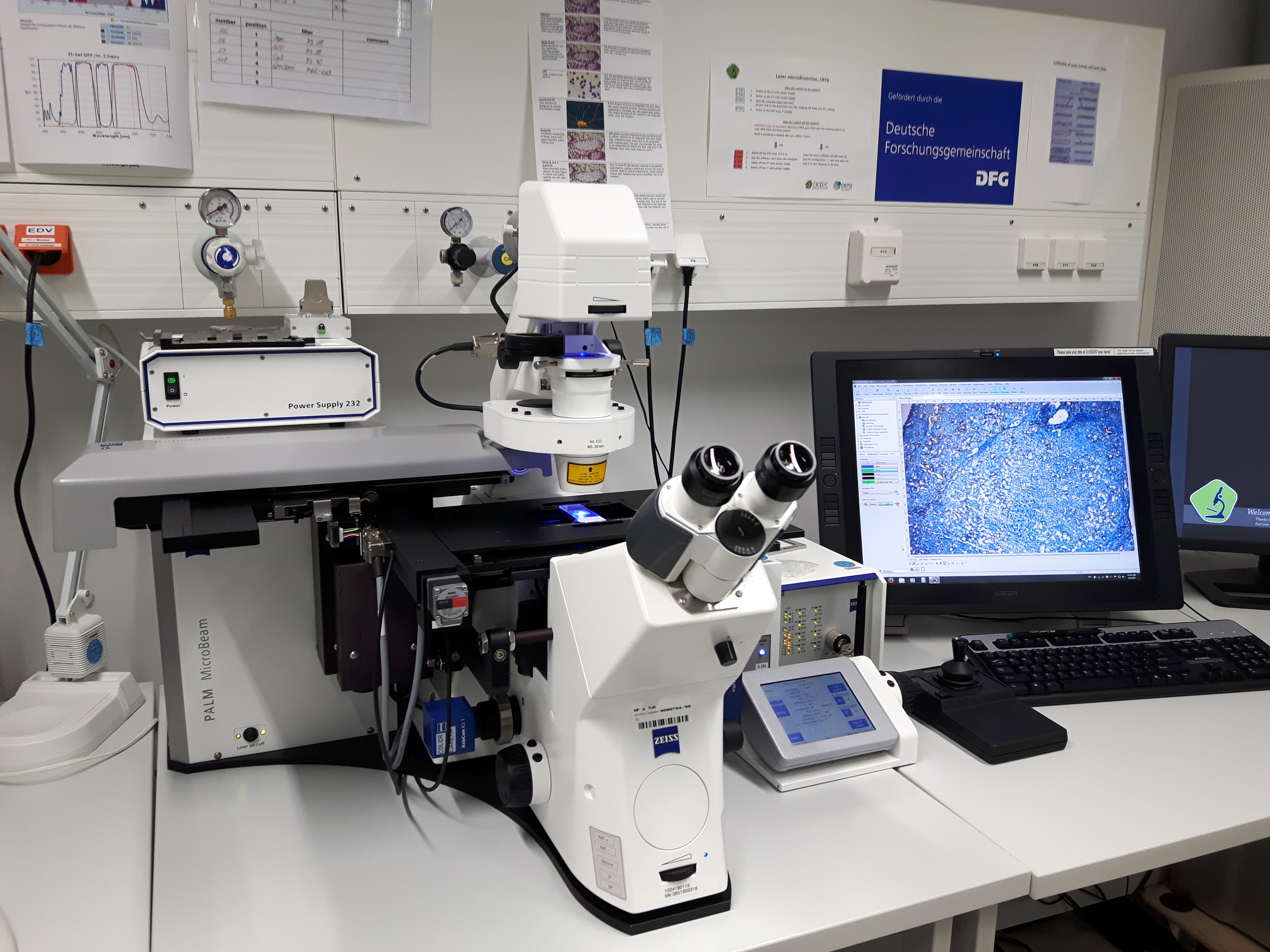 Light Microscopes