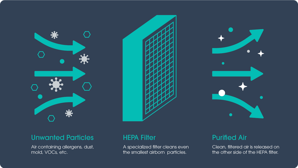 Do HEPA filters remove allergens?