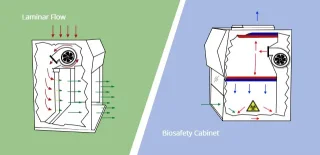83f46beaad3fffc6e038c3504fcf5277_Laminar-Flow-vs-Biosafety-Cabinet.jpg
