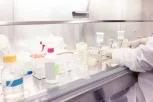 319c9f9759dd286f726b7567bf609990_microbiology-lab_s=612x612&w=0&k=20&c=kR089mjMhmUPcv1W0hzbjVluCGipdqGO4fImwPYd7Y8=.jpg