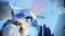 Clean bench: How to ensure the success r