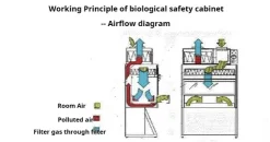 How Biosafety Cabinets Work