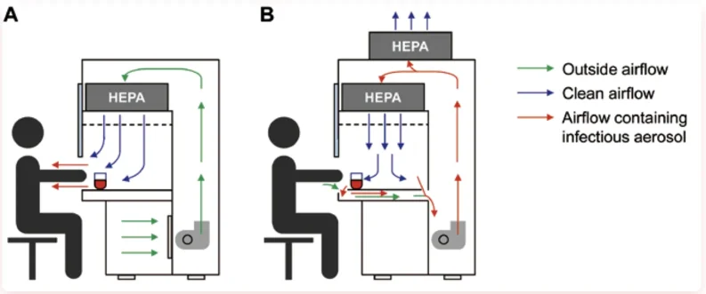 the Difference Between a Clean Bench and a Biosafety Cabinet