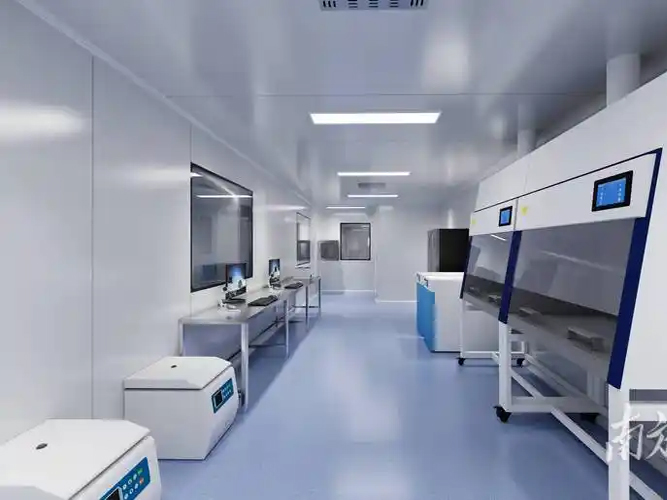 Stem Cell Laboratory.jpg